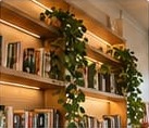 Bookshelf with trailing plants